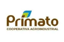 Primato